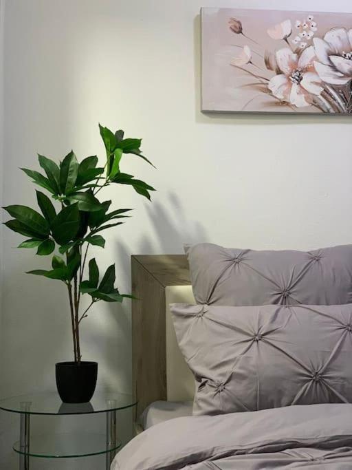 Studio Central Mm Apartments Braşov Esterno foto