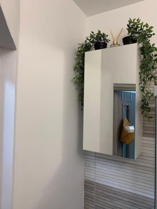 Studio Central Mm Apartments Braşov Esterno foto