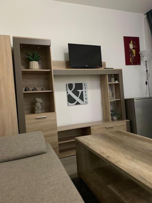Studio Central Mm Apartments Braşov Esterno foto